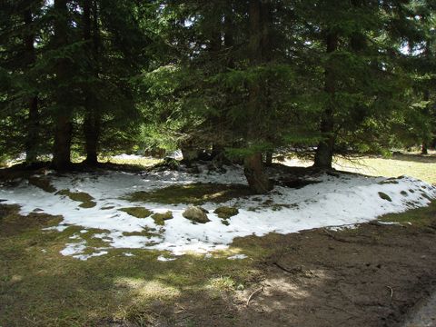 Foto 32